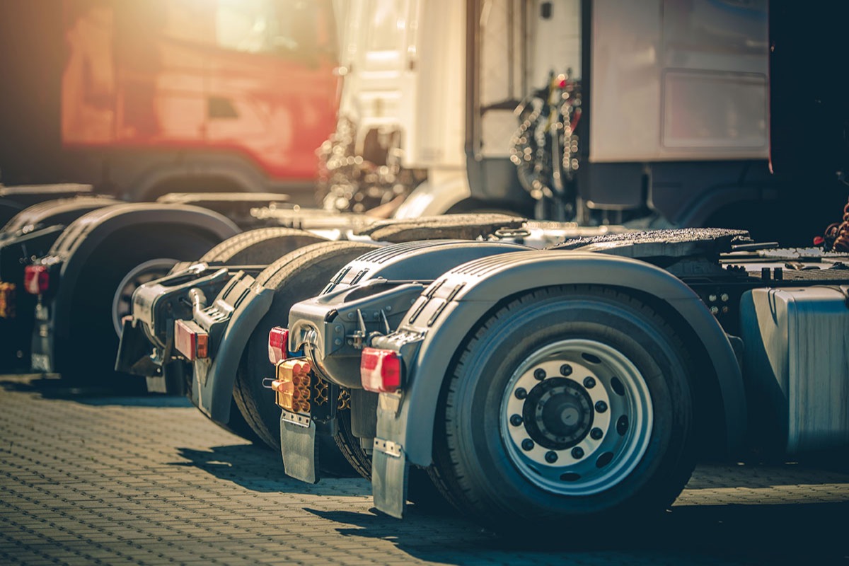Rear frames, fenders and tail lights of a row of semi truck tractors parked on a paved fleet yard in warm late-afternoon sun